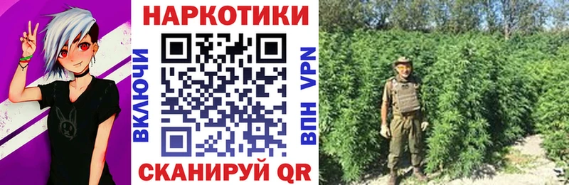 Названия наркотиков Егорьевск ссылка на мегу ТОР  Гашиш  Alpha-PVP  АМФ 