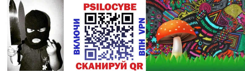 kraken маркетплейс  где можно купить наркотик  Егорьевск  Галлюциногенные грибы Cubensis 