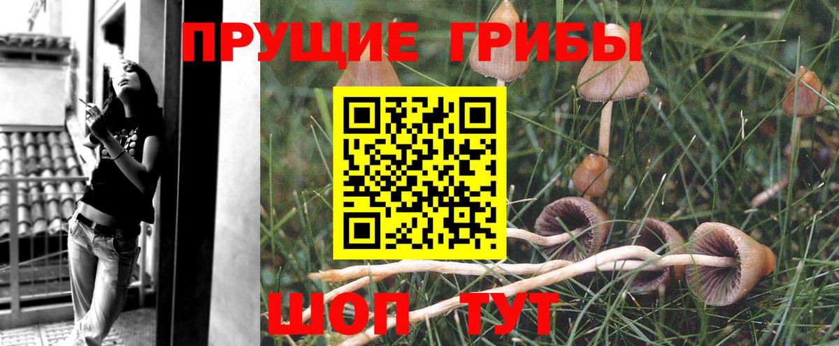 Галлюциногенные грибы мухоморы  Вход с VPN  Егорьевск 